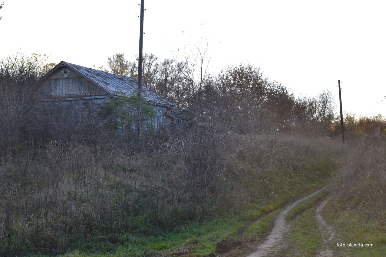 Дом в деревне Жирятино