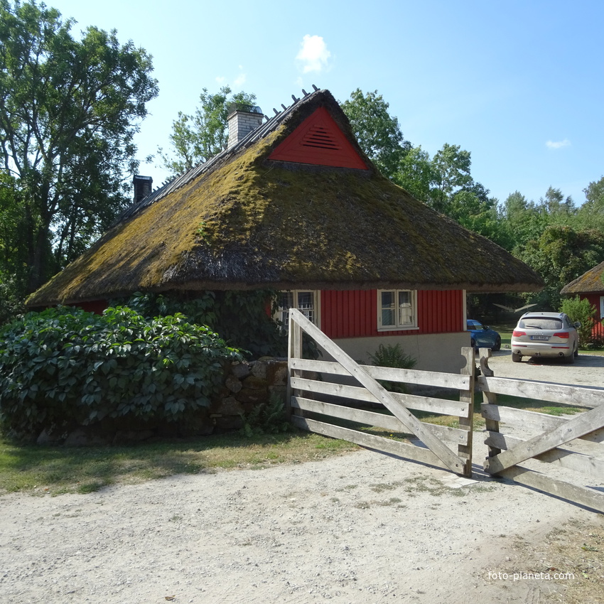 Хутор Лаасу, деревня Наутсе