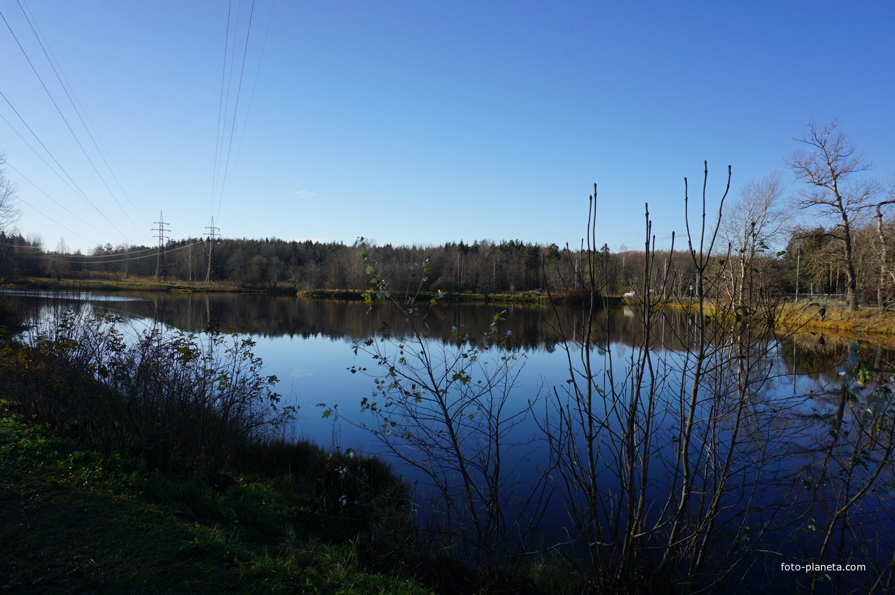 Красный пруд.