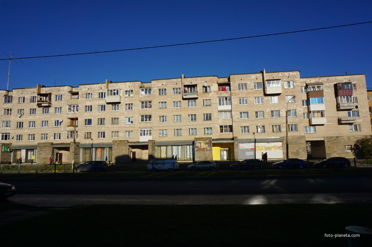 На улице Федюнинского.