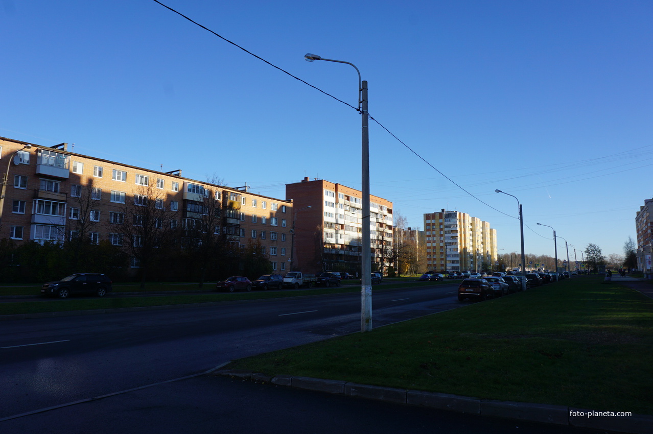 Ораниенбаумский проспект.