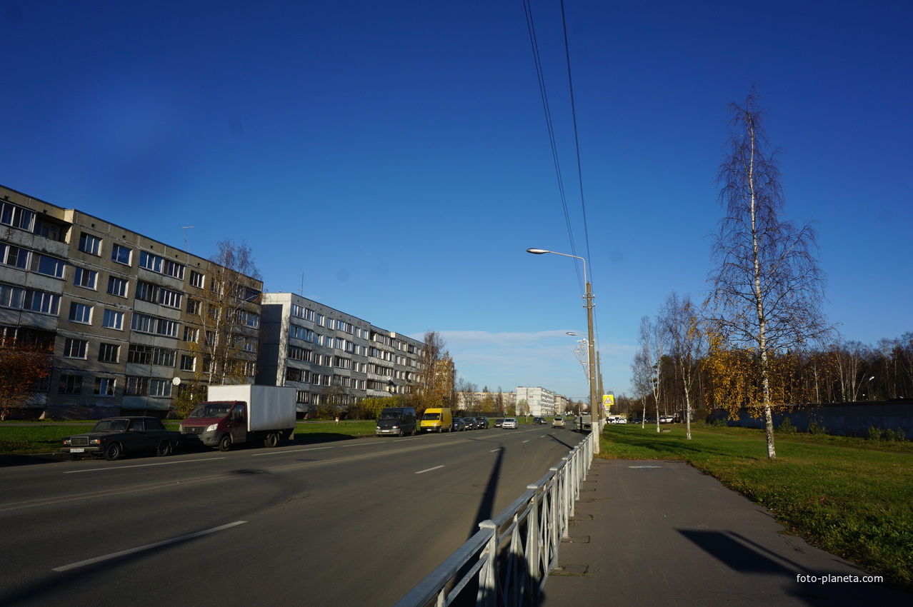Ораниенбаумский проспект.