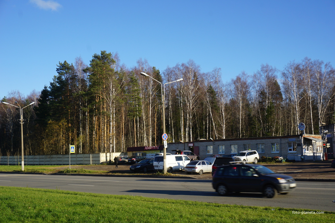 Ораниенбаумский проспект.Магазин авто.Стоянка.