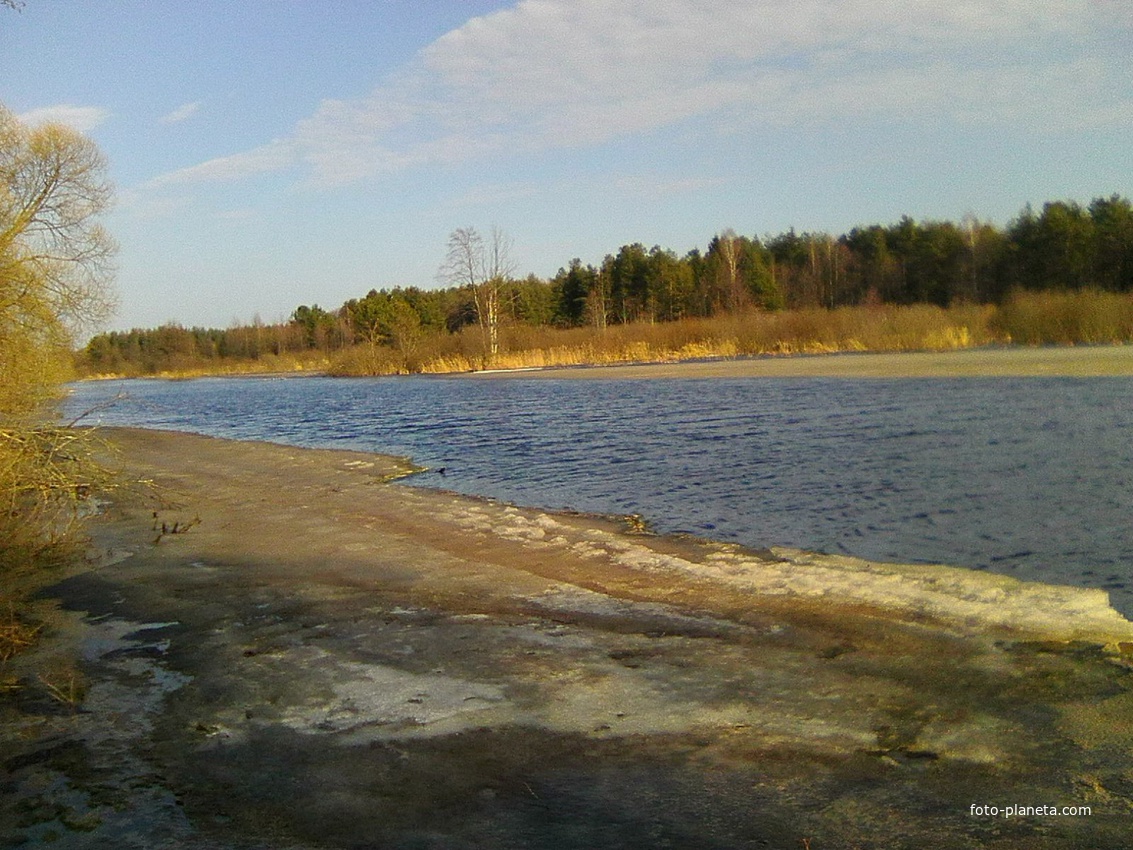 Река Поля у деревни Воронинская