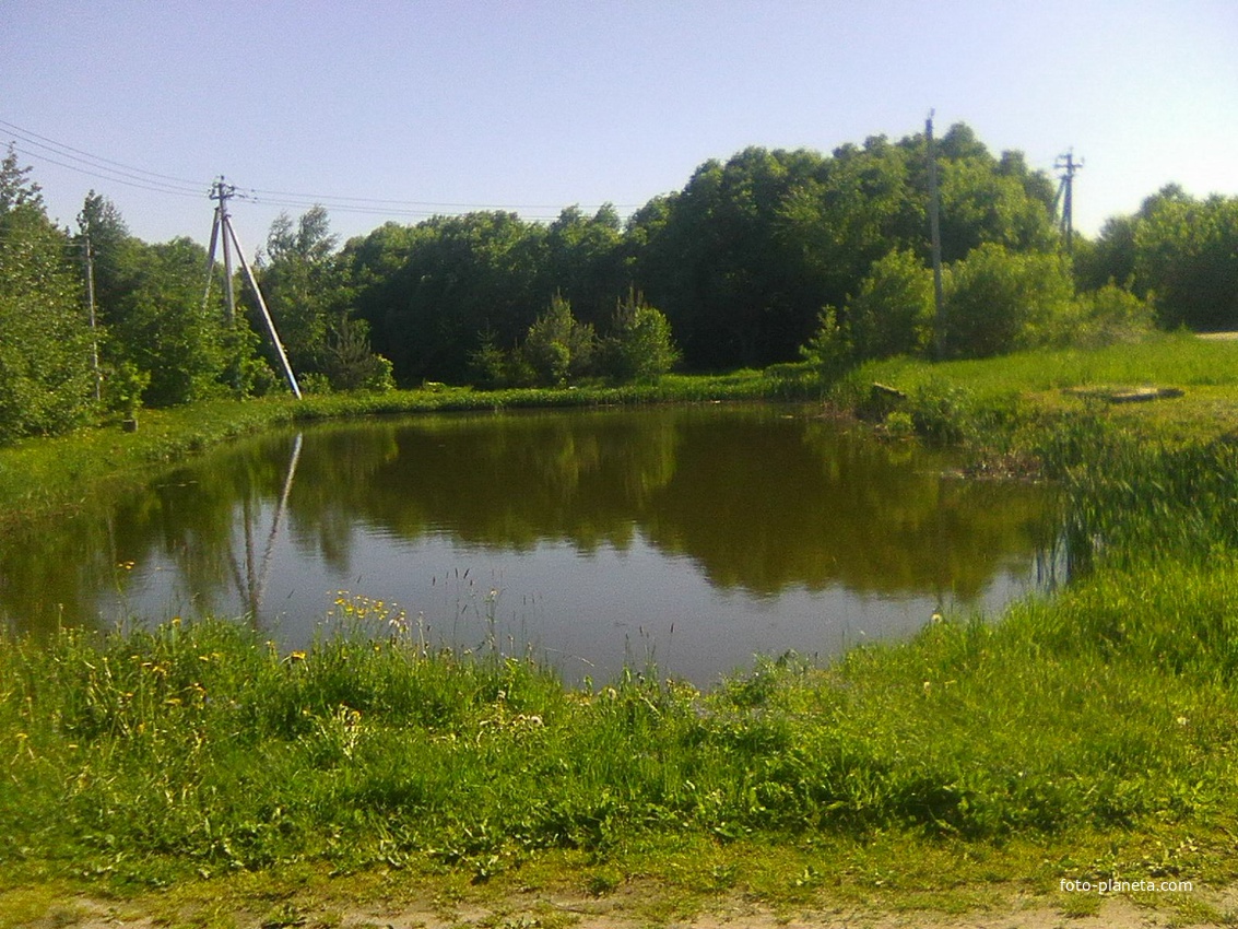 Пруд в деревне Воронинская