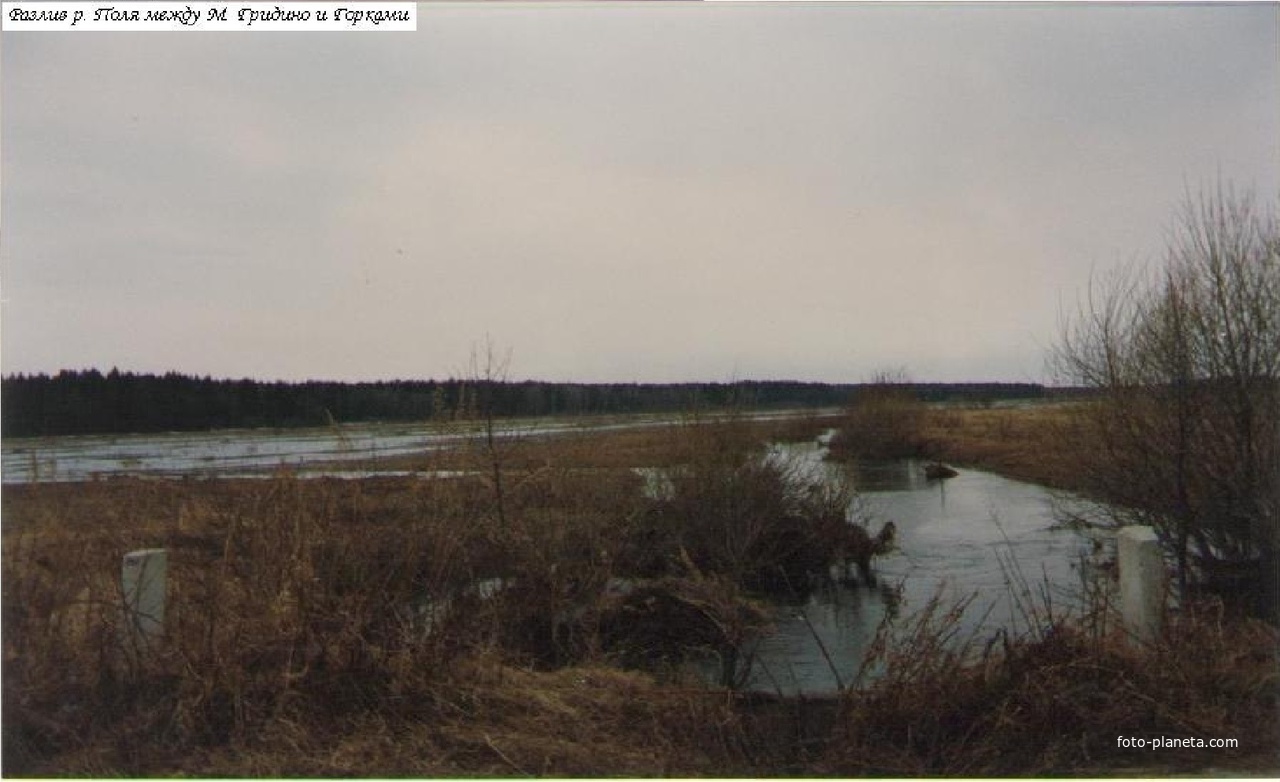 Разлив реки Поля между деревнями Малое Гридино и Горки. Май 1994г.