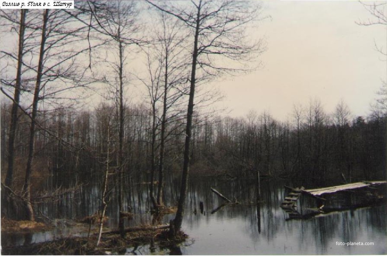 Разлив реки Поля в селе Шатур. Май 1994г.