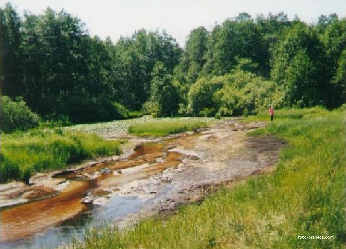 Река Поля у деревни Василенцево
