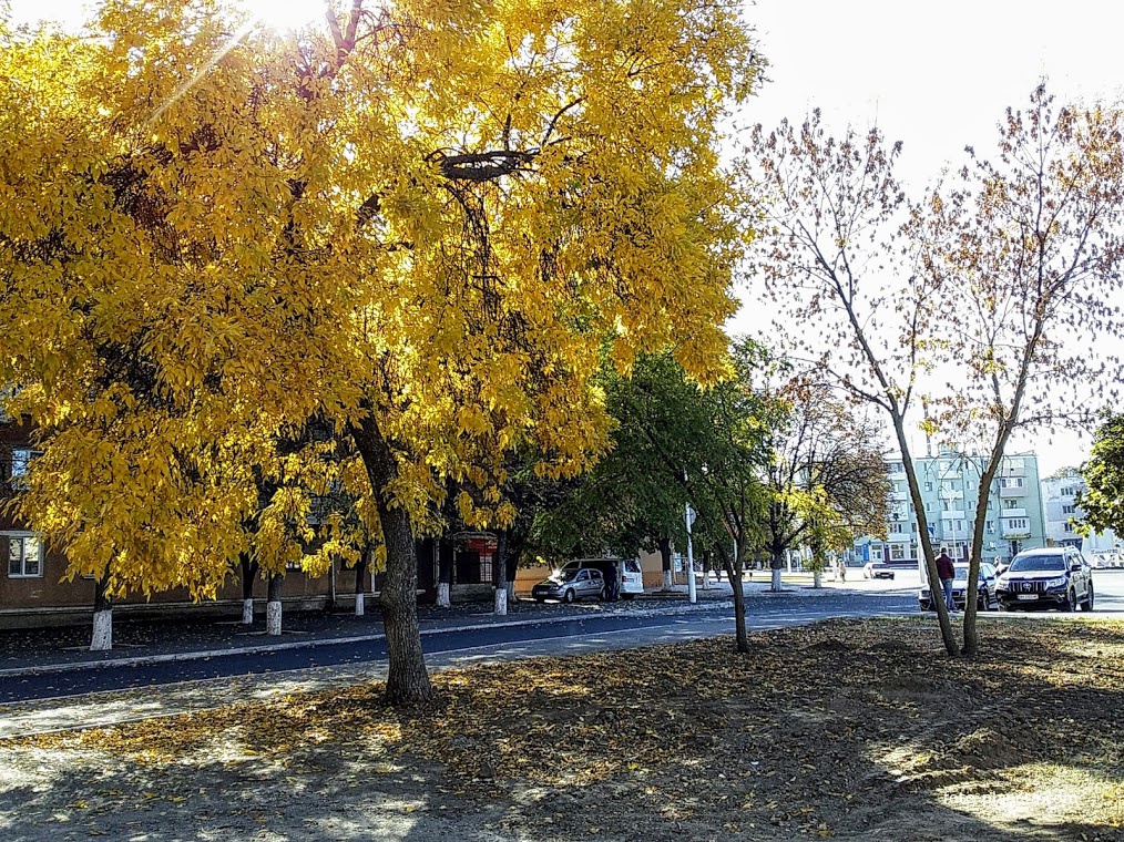 город Измаил, улица Белгород Днестровская