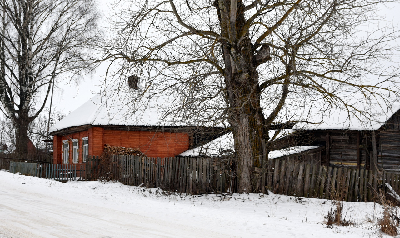 Дом в деревне Н. Толмачи Орловского района