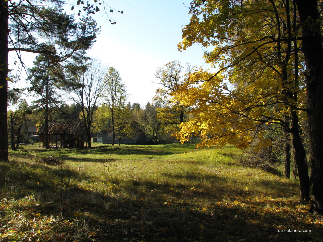Осенний лес на Байкуре.
