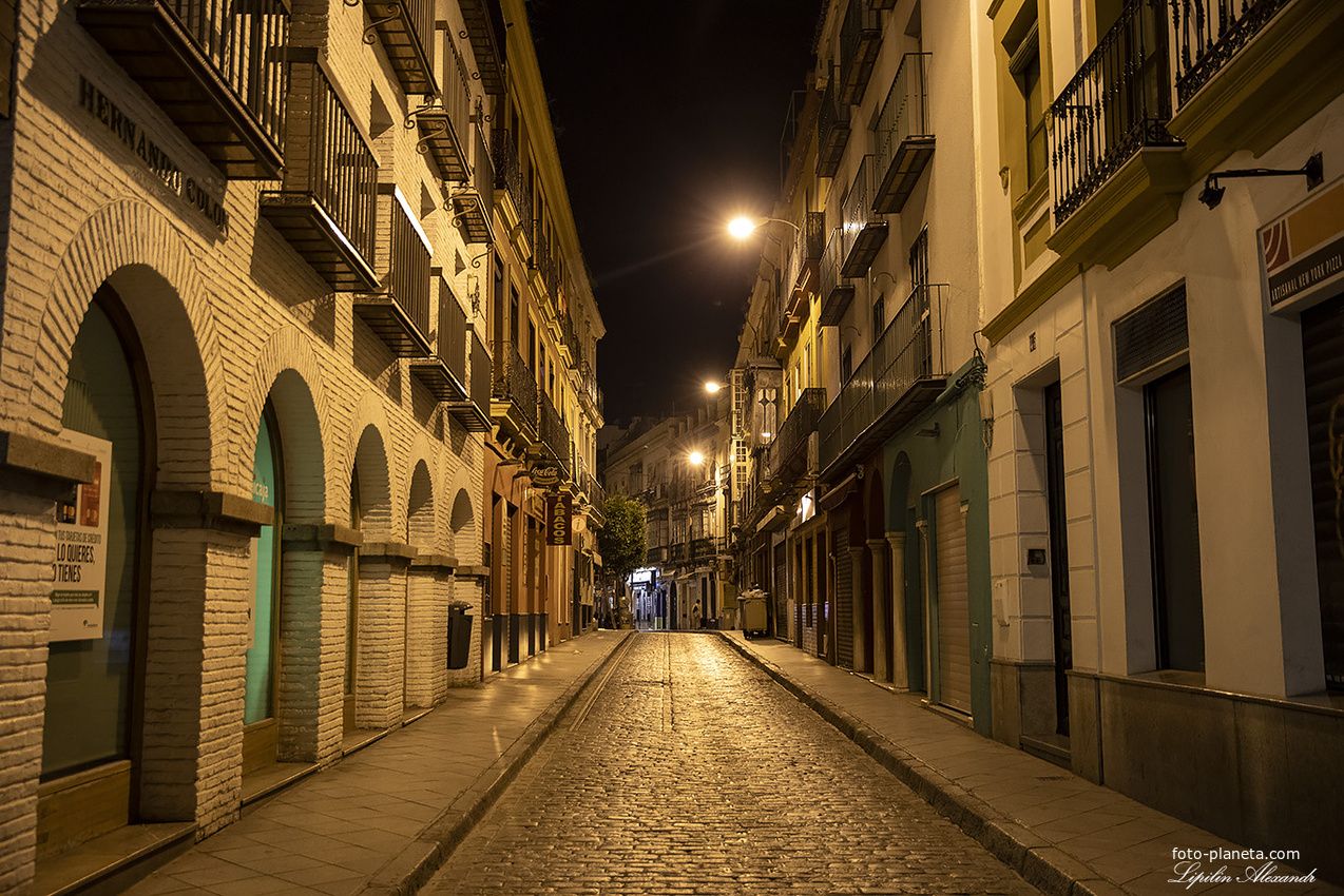 Ночная улица города