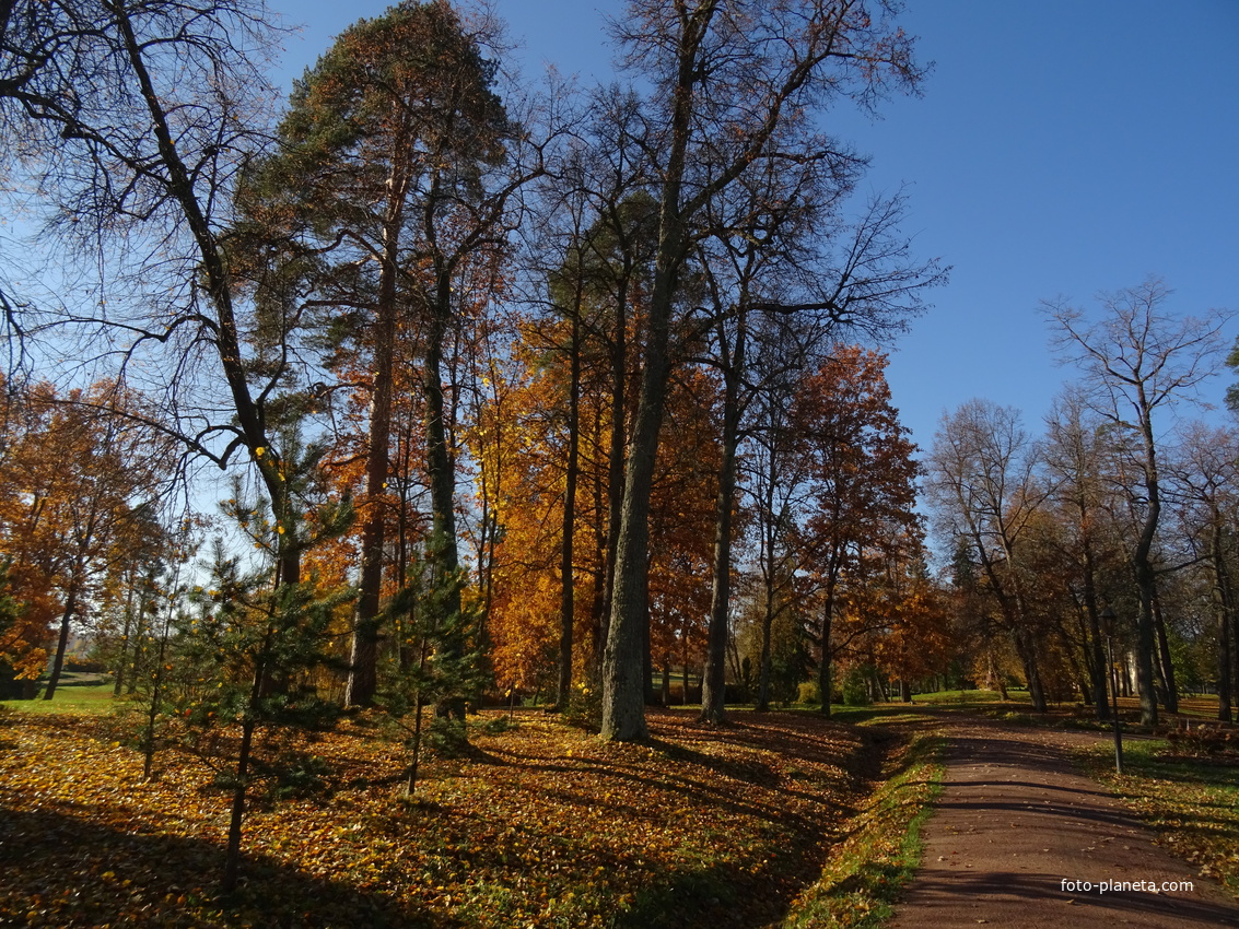 Усадьба Марьино