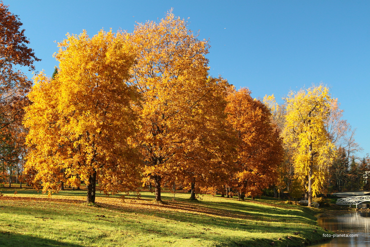 Усадьба Марьино