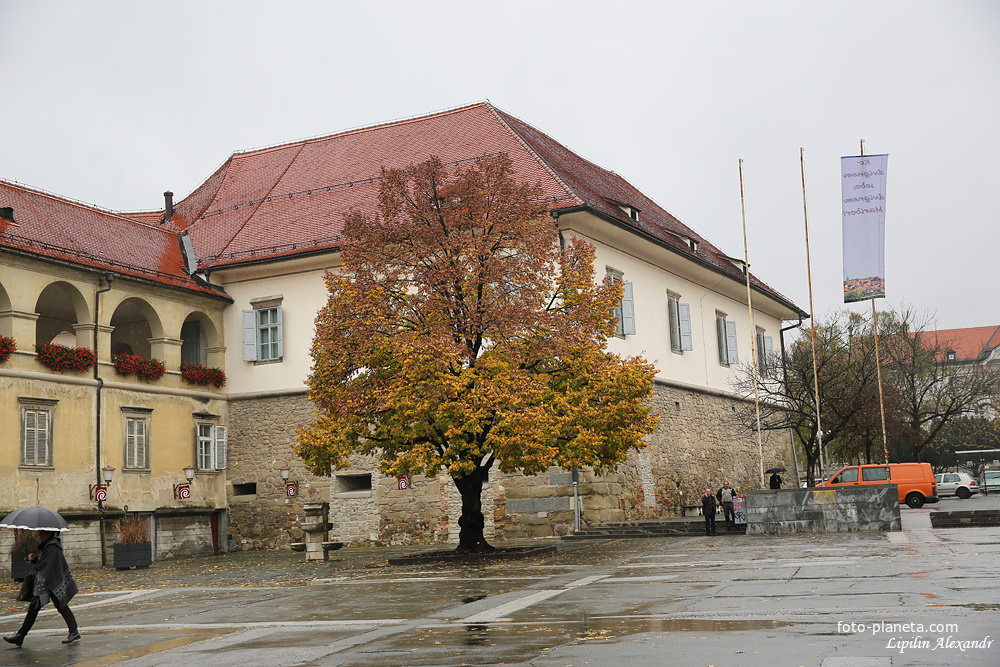Замок Марибор