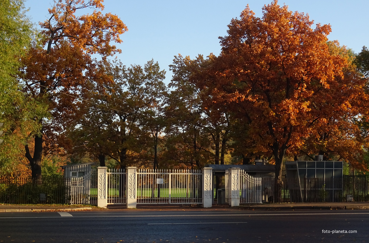 Ворота в парке Александрия