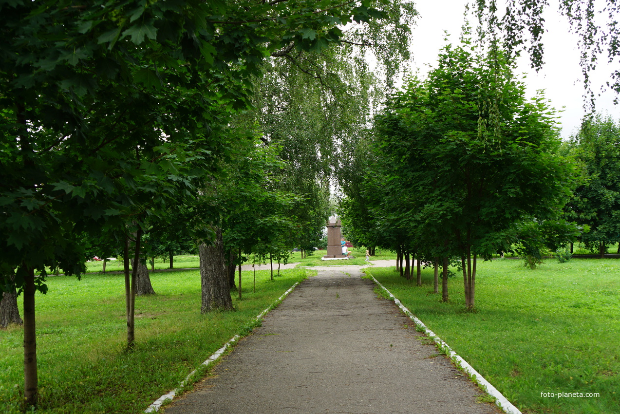 Бронницы Московская область парк