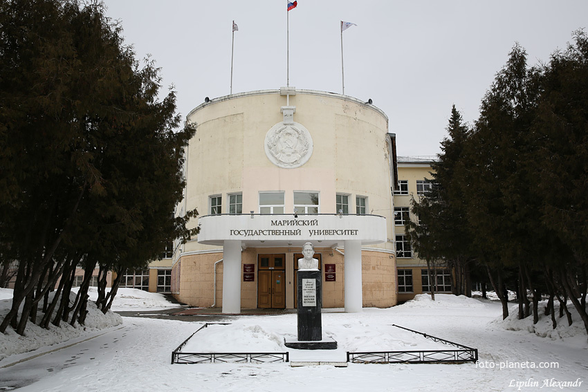 Марийский университет