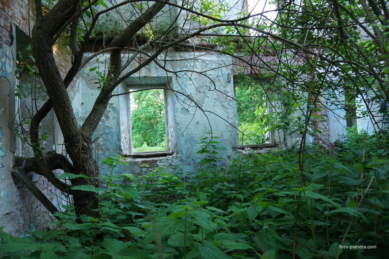 Усадебный дом