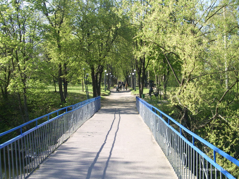 Мост на остров Коцюбинского