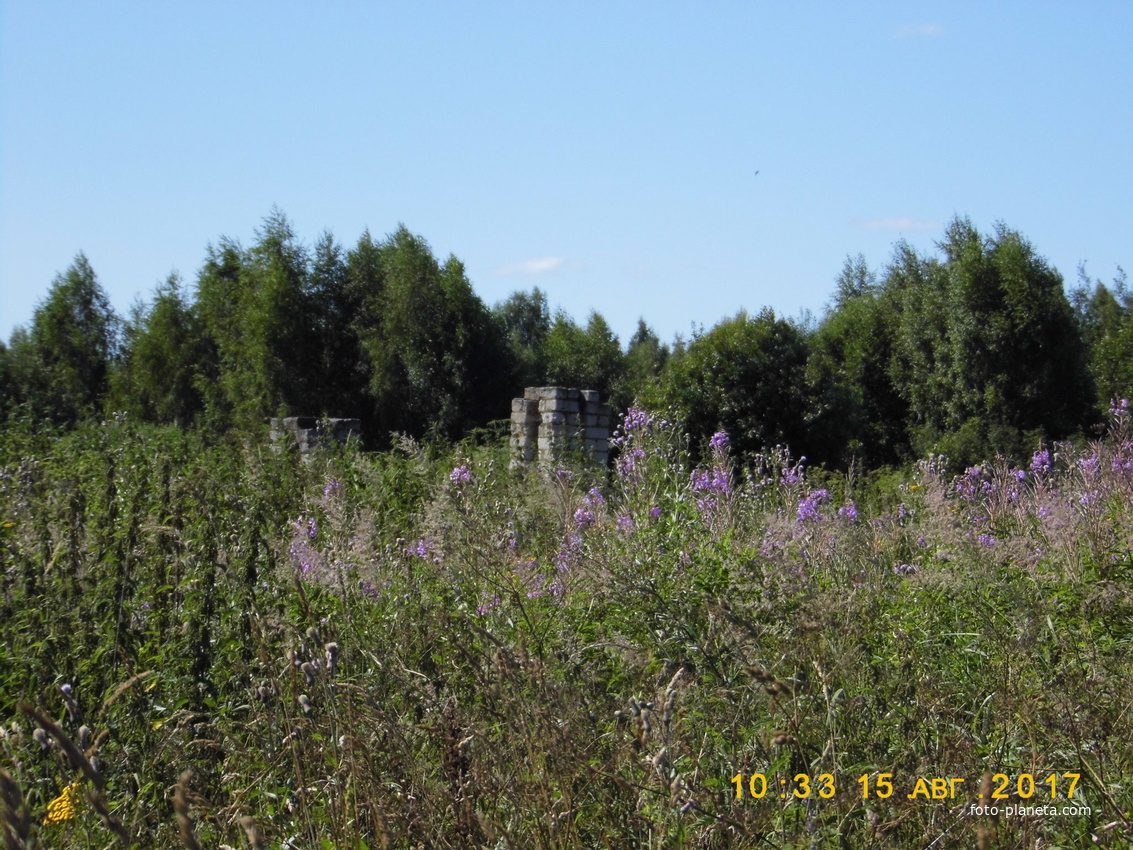Михалево (Боровский сельсовет)