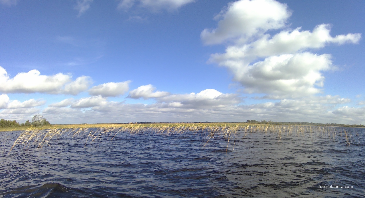 Озеро Бродская Лахта, осень, Новгородская область.