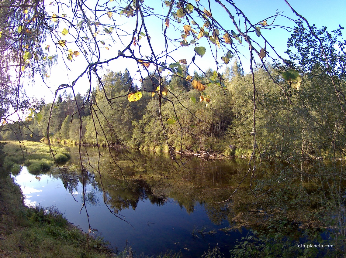 Гольцово, речка Меглинка, Новгородская область.