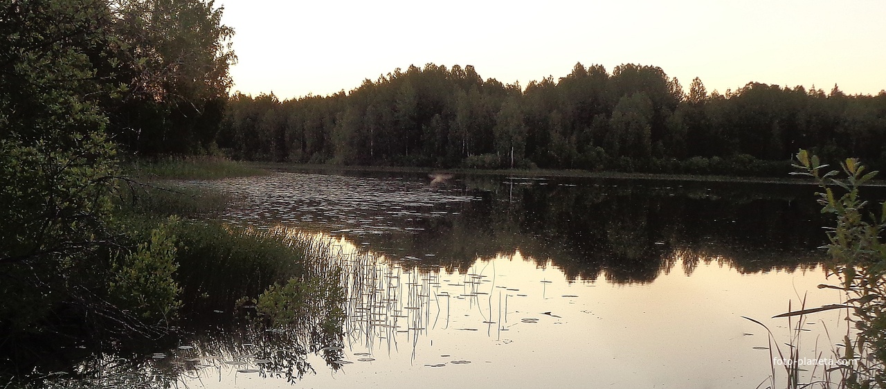 Белые ночи. Озеро Опаринское, Новгородская область.