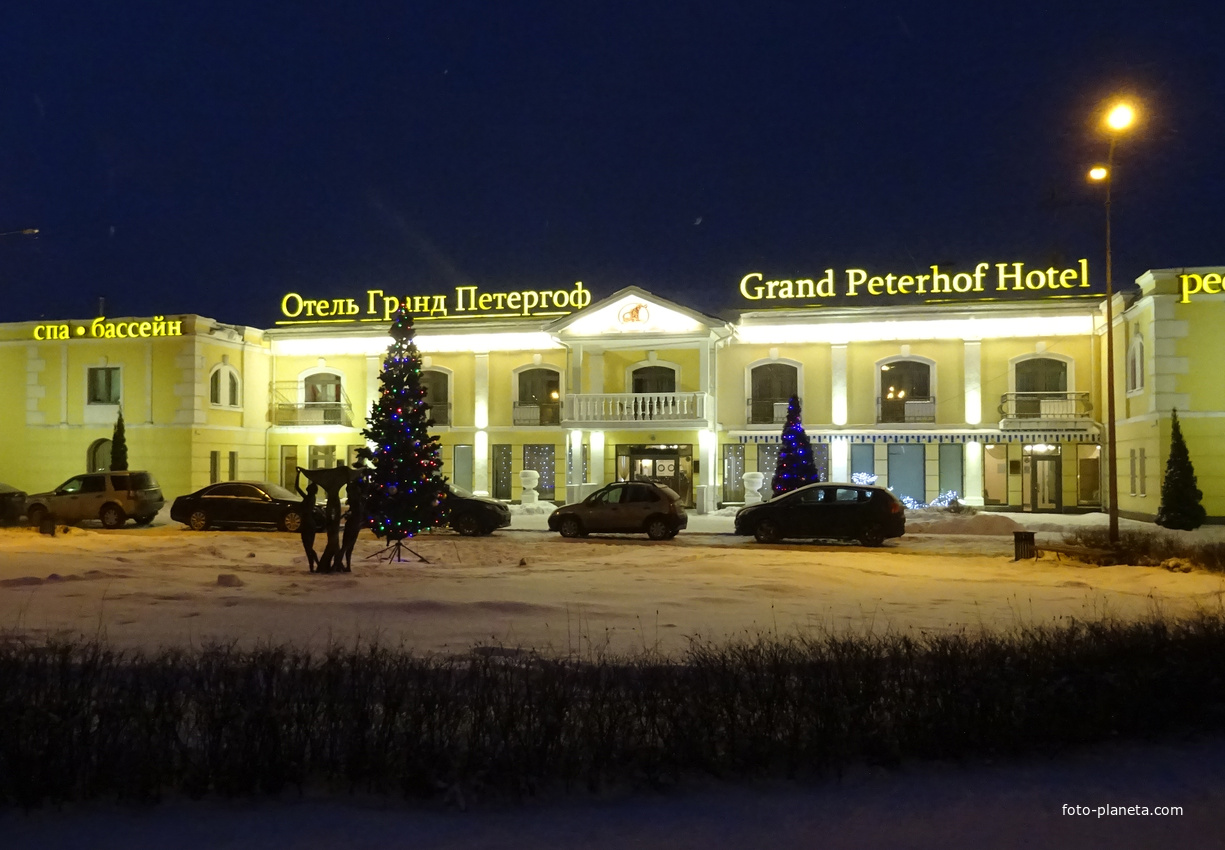 Отель Гранд Петергоф, улица Гофмейстерская