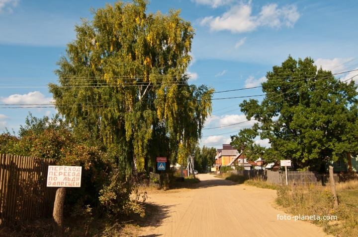 Главная улица деревни Противье