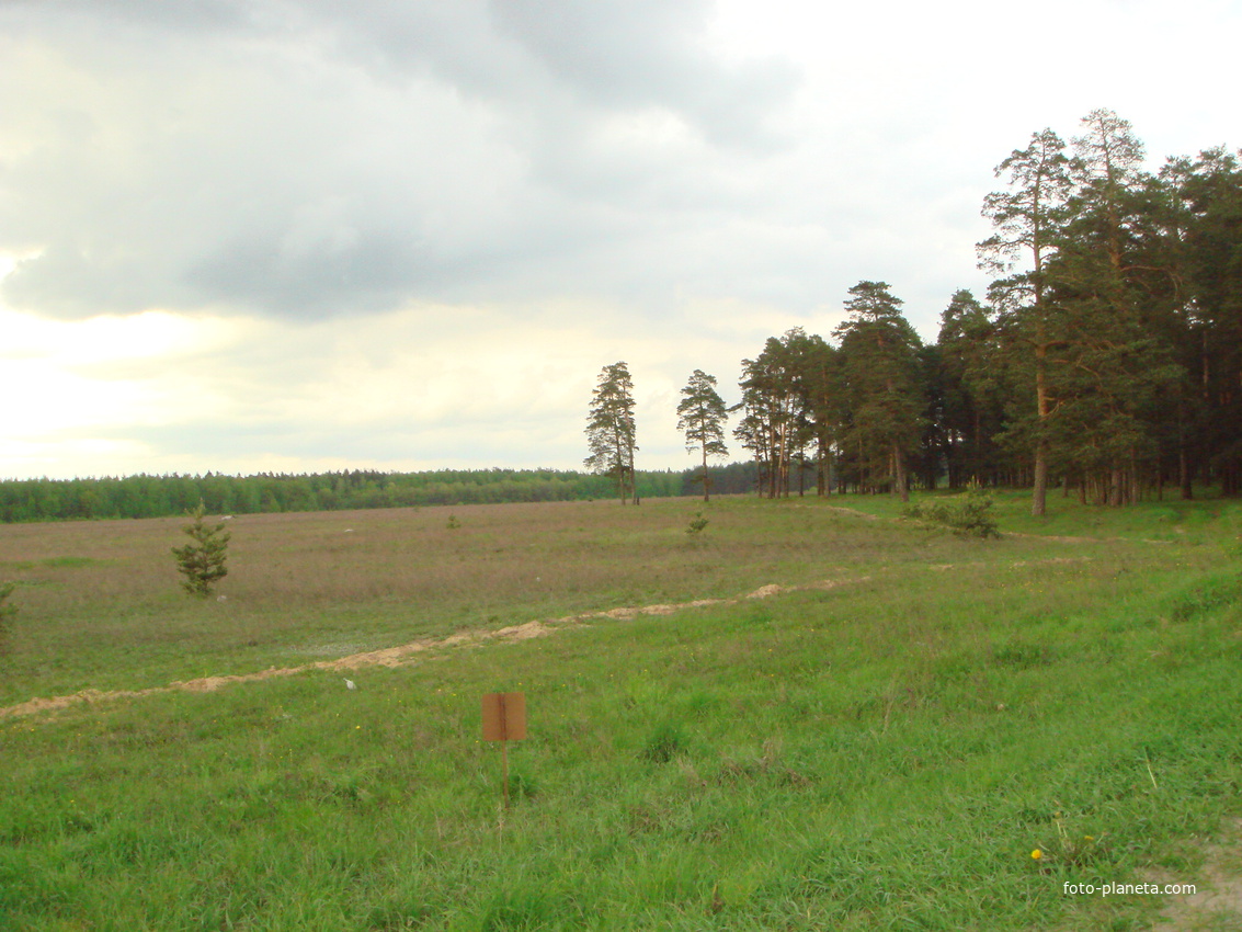 Опушка леса при выезде из Хорлово в сторону Фосфоритного в 2008 году.