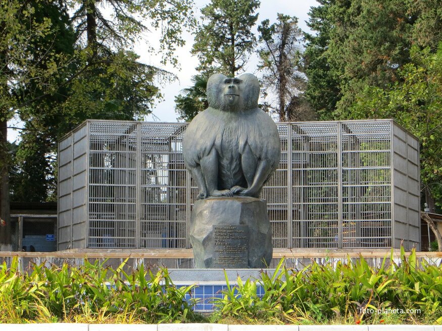Памятник обезьяне