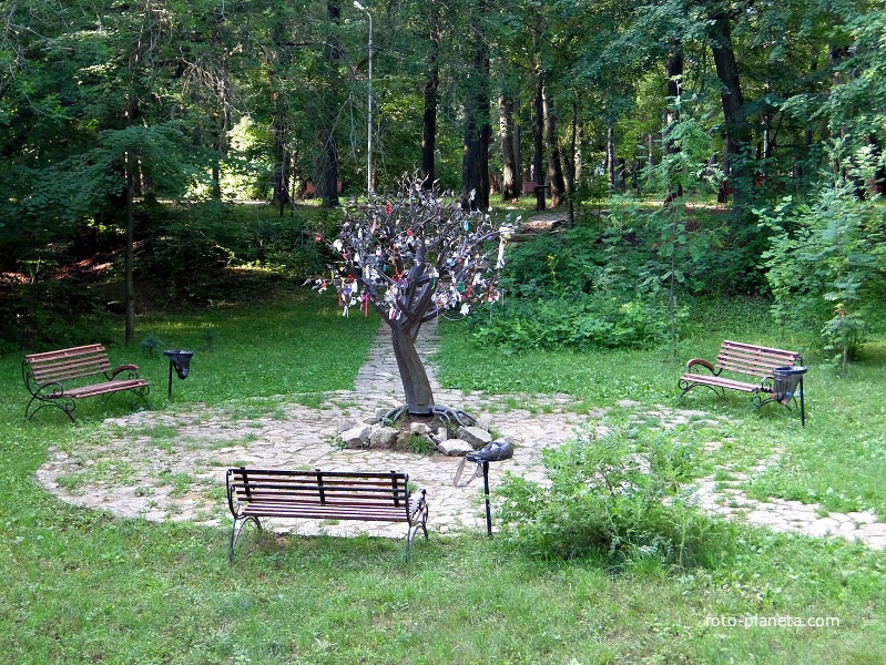 &quot;Дерево потомков&quot; в парке