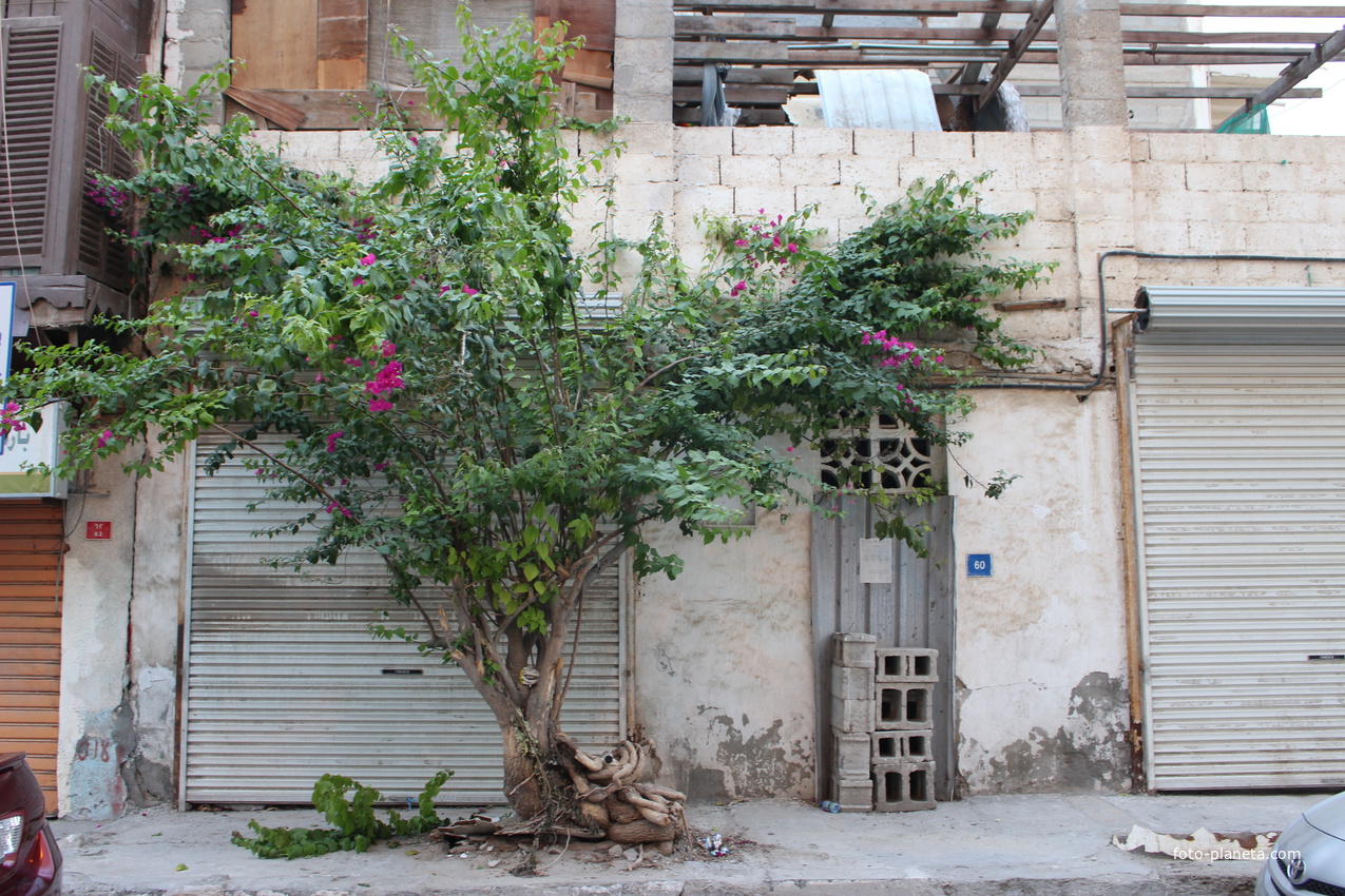 Манама. Старый город.