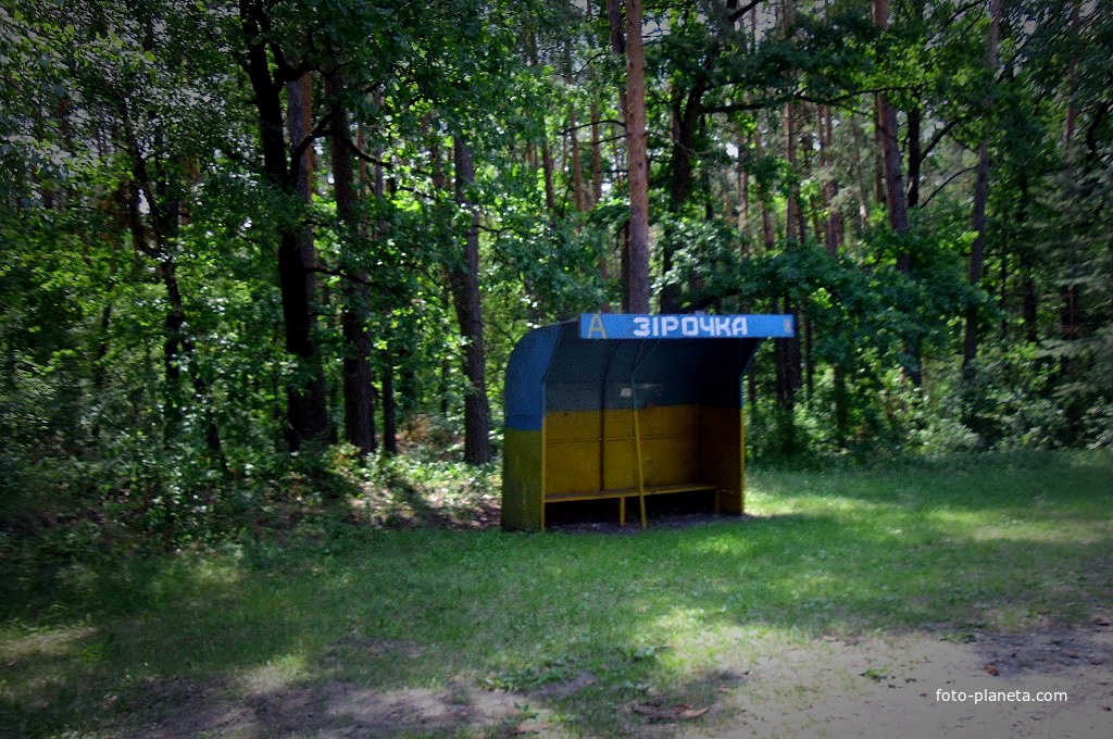 Автобусна зупинка в лісі між Дубієвкою та Ірдинем.