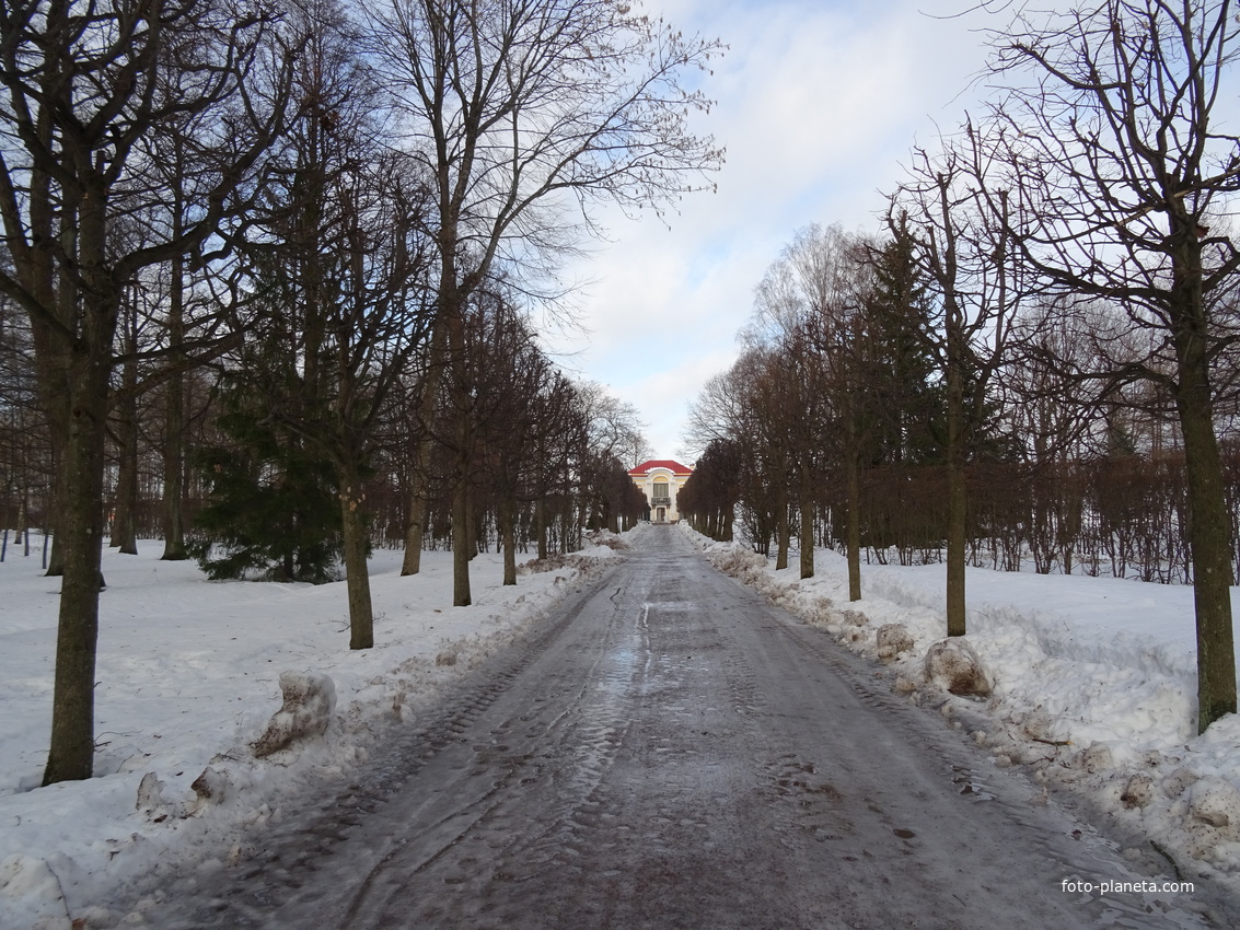 Аллея в Нижнем парке