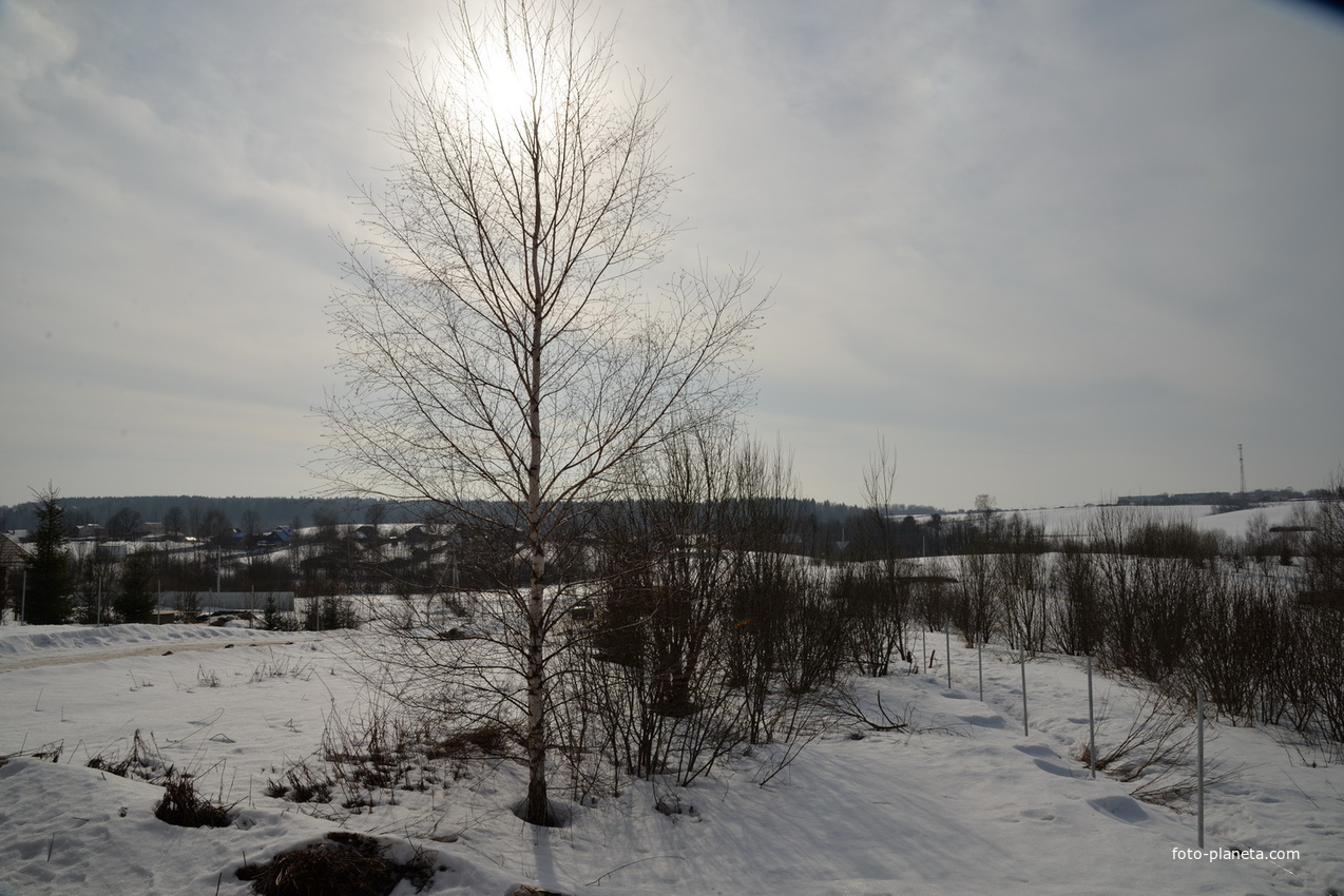Вид на Костромино от леса, март 2017