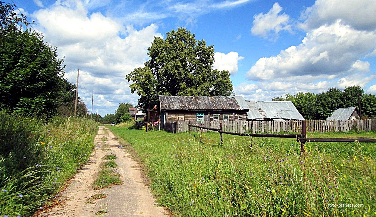 Улица деревни Вырыпаево.