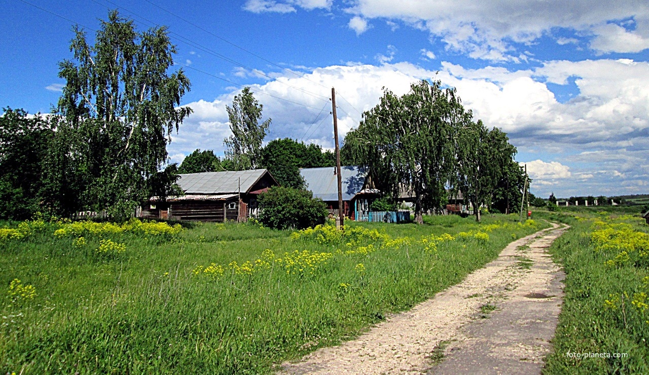 Улица села Большое Загарино.
