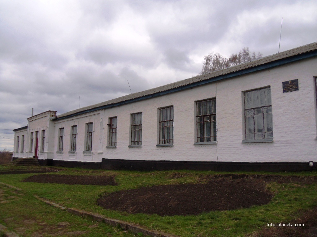 Лузанівська загальноосвітня школа I-III ступенів,Кам&#039;янської районної ради,Черкаської області.