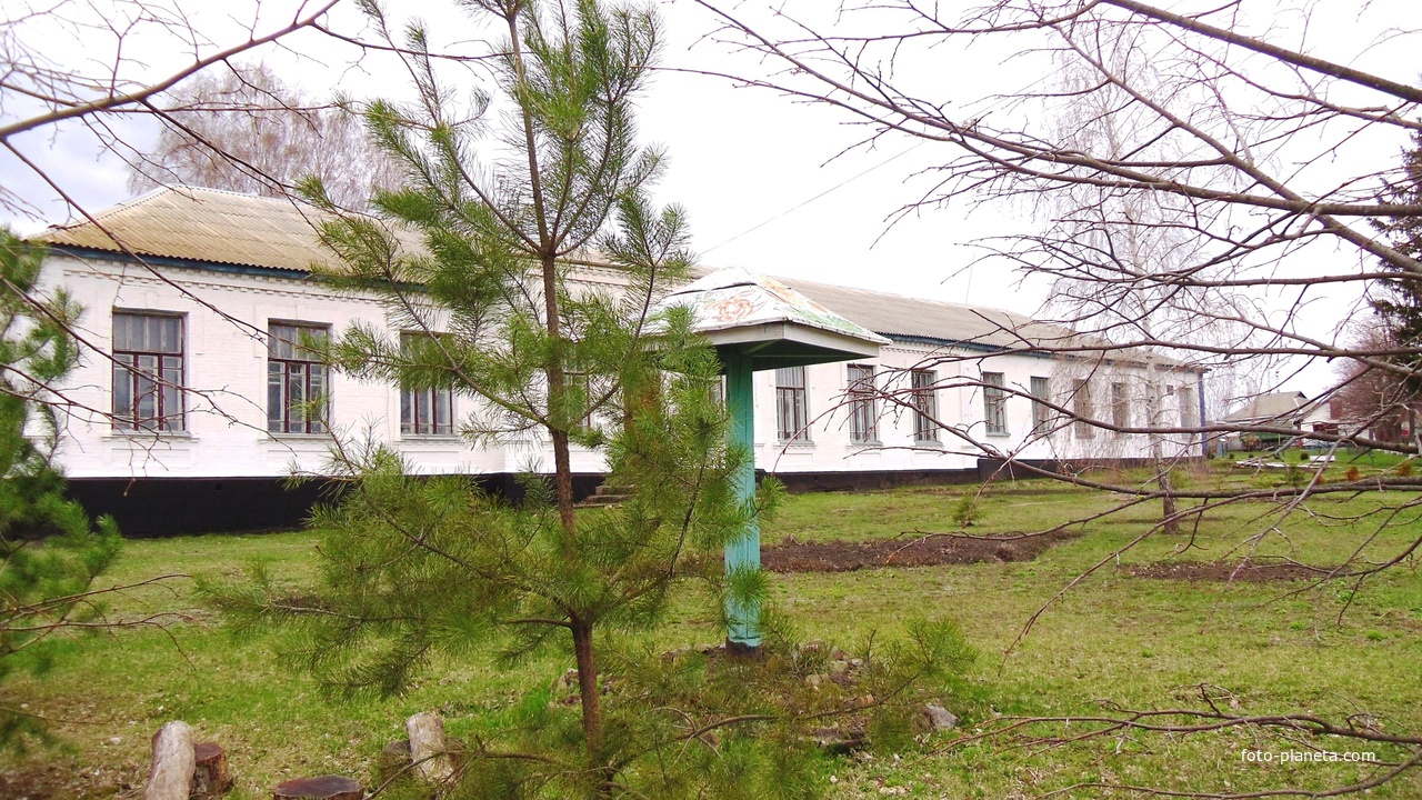 Лузанівська загальноосвітня школа I-III ступенів,Кам&#039;янської районної ради,Черкаської області.