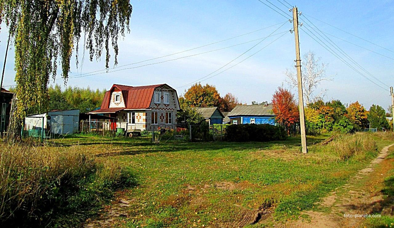 Деревенские избы