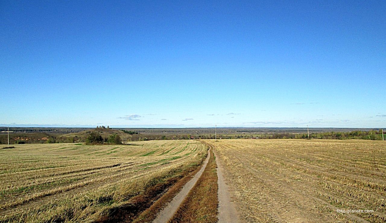 Дорога на деревни: Поляна и Соловьёво