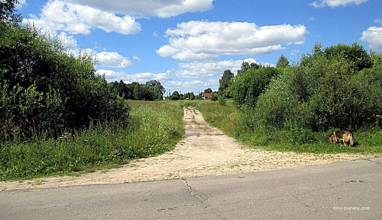 Дорога на деревню.