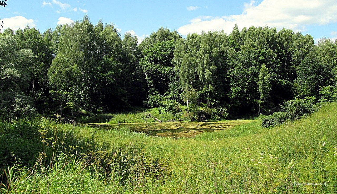 Деревенский пруд