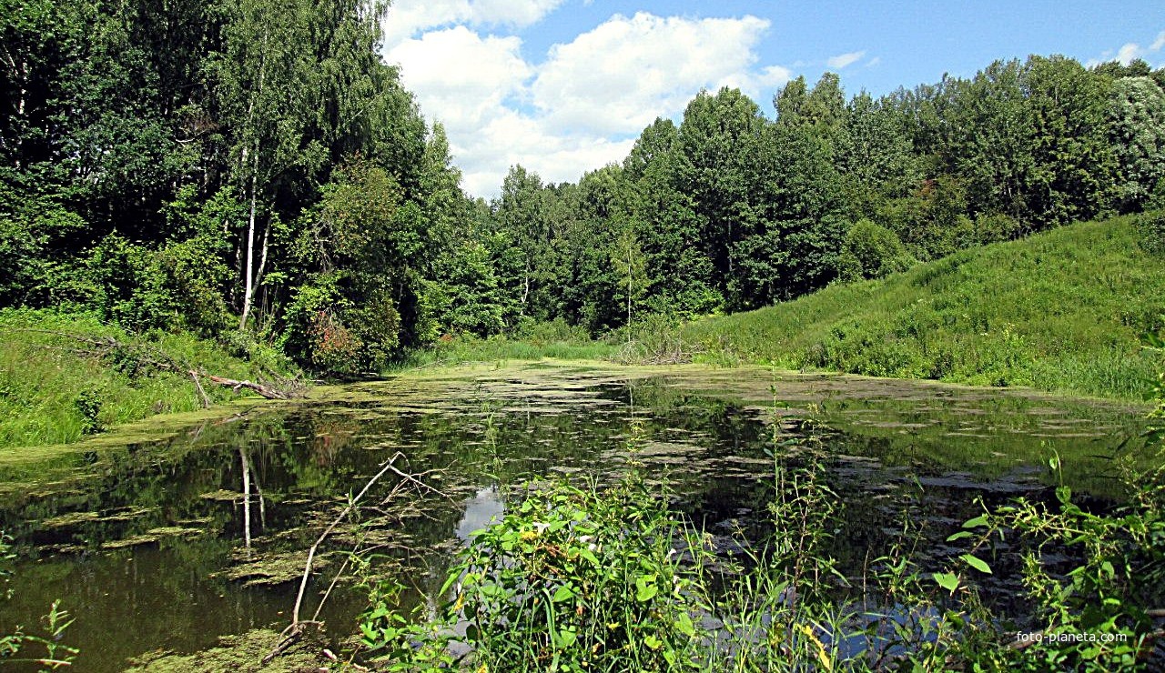 Деревенский пруд