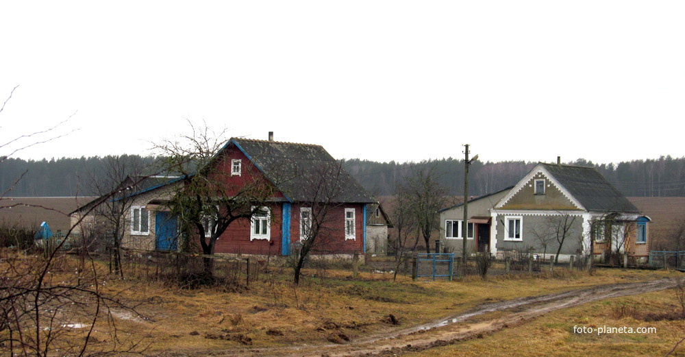 Дома деревни Вишневка