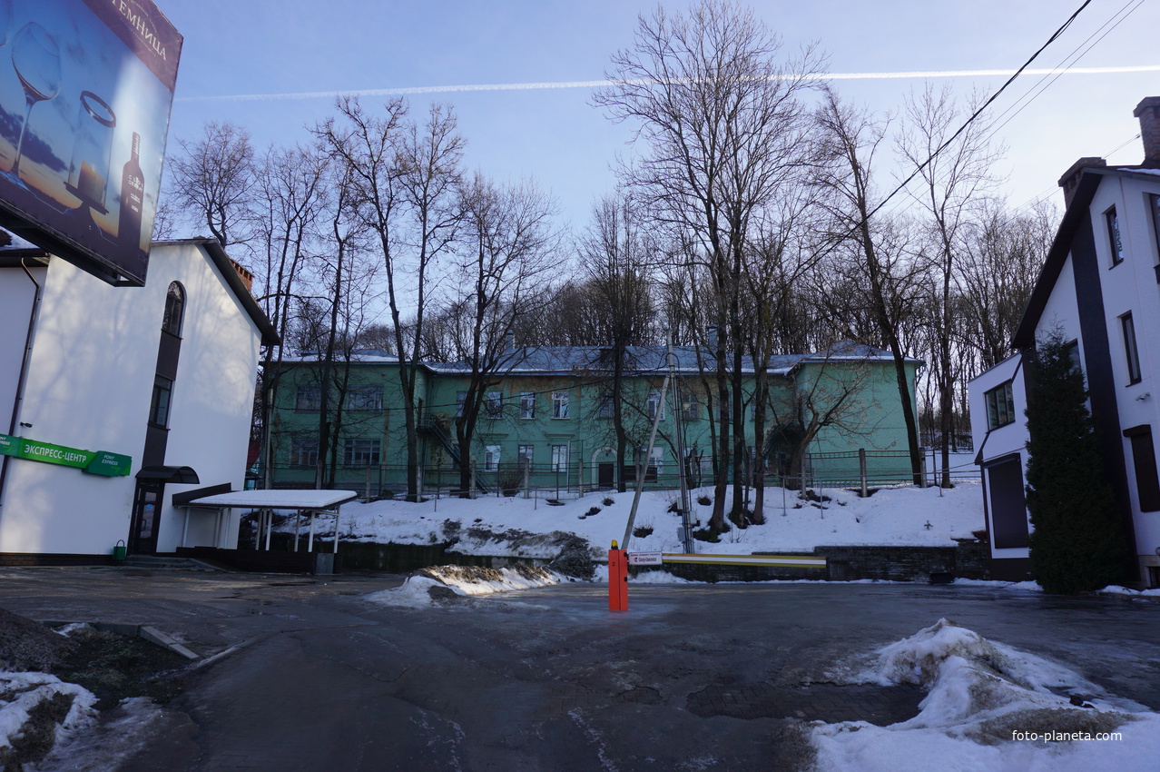 На улице Соболева.