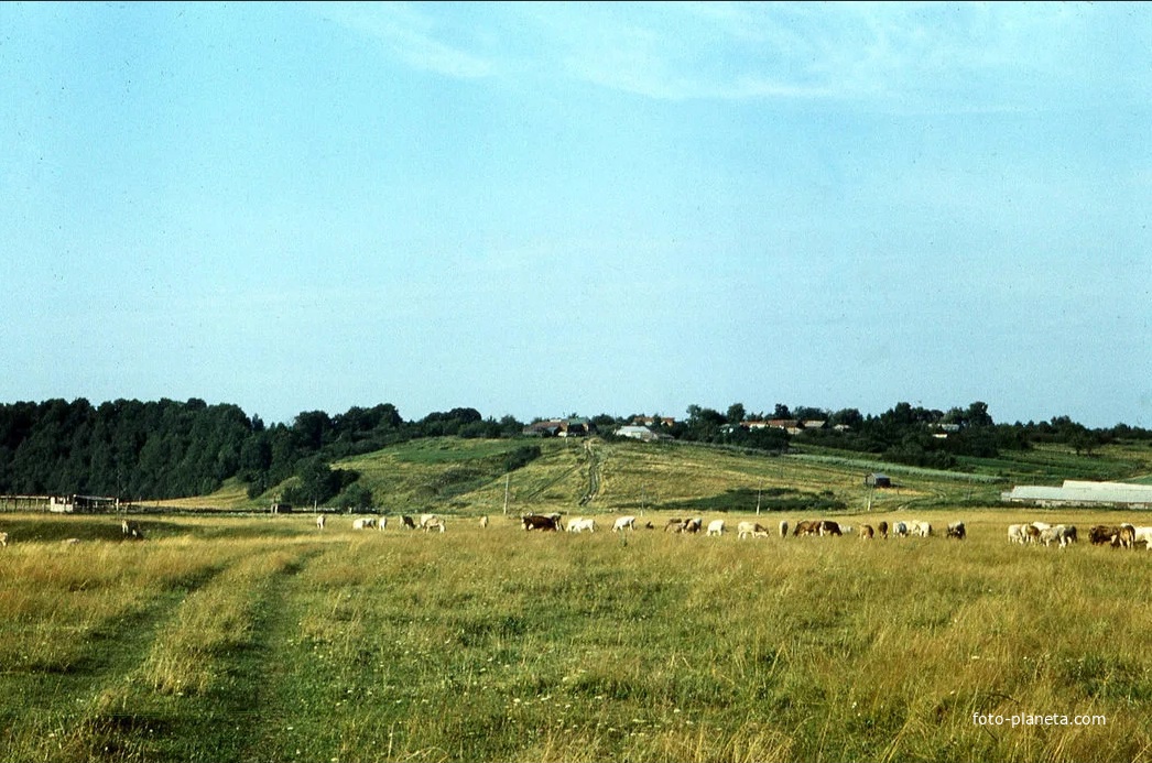 Деревня Чувашиха 2000 года