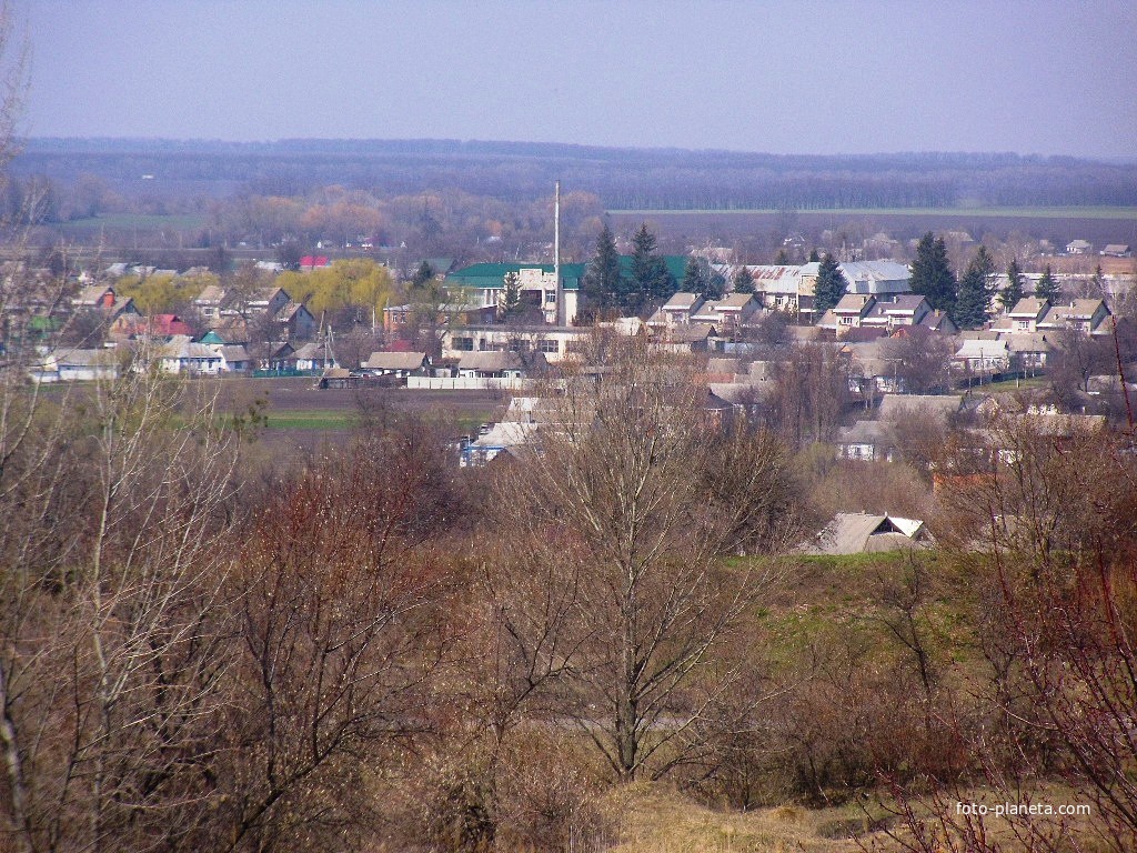 Вид на село Матусів з дороги Самгород-Матусів.